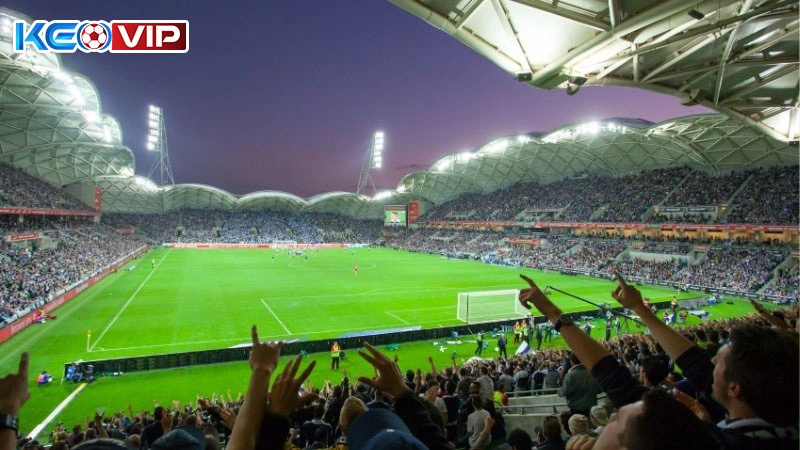 Nên có nhận định riêng thay vì theo đám đông