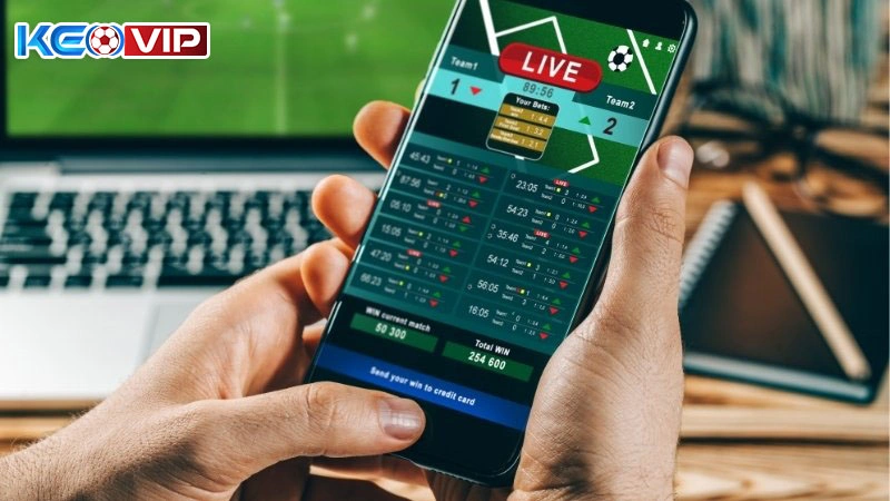 Định hướng phát triển của nền tảng